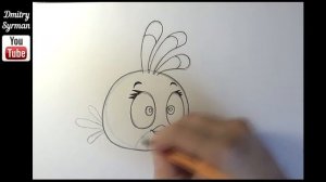 Speed draw Stella, Angry Birds