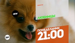 Мумия и Любимцы. Понедельник 16:50-21:00