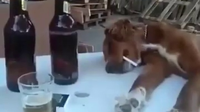 Утро воскресенья после встречи с друзьями смотреть онлайн