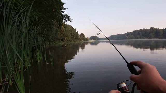 Мормышинг ! Карась ! Подмосковный пруд смотреть онлайн