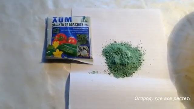 СУПЕР СПОСОБ ПОСАДКИ ЧЕСНОКА под зиму.mp4 смотреть онлайн