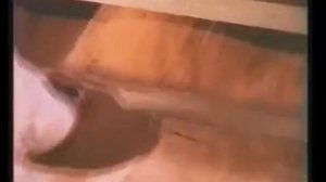 ПРОПОЛИС ПЧЕЛИНЫЙ ПРИГОТОВЛЕНИЕ ВОДНОГО ЭКСТРАКТА ПРОПОЛИСА #ПРОПОЛИС