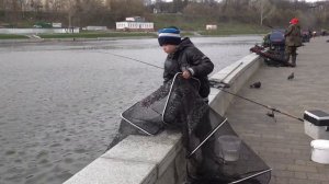 Соревнования по фидерной ловле в Орле