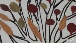 Какие красивые гербарии делают в школах Бельгии.Herbarium 6-8 klass