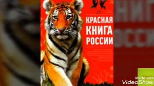 Топ-10 Фактов о "КРАСНОЙ КНИГЕ"!