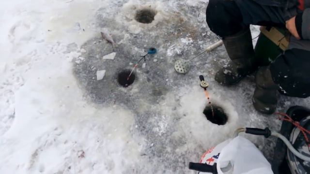 Чудское озеро 22.01.2018 смотреть онлайн