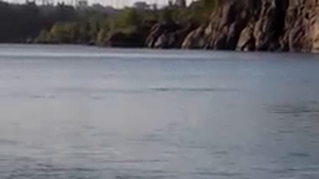 Запорожье . 23 августа 18 г. "Малая скала " Старое русло р. Днепр . смотреть онлайн