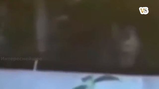 Места С Настоящей НЕЧИСТЬЮ. Реальные Видео. Мистика