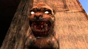 S.T.A.L.K.E.R. - Реальность игры