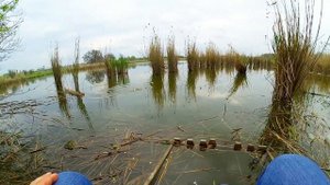 РЫБАЛКА под дождём в КАМЫШАХ. Украинская рыбалка в Запорожье