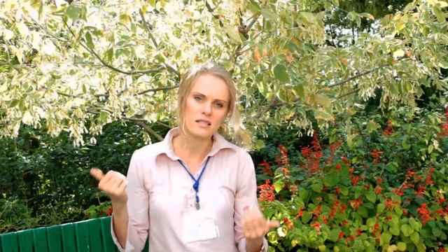 Международная мобильная юридическая служба смотреть онлайн