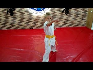 Пинан Соно Ич 1 Пинан Киокушинкай каратэ