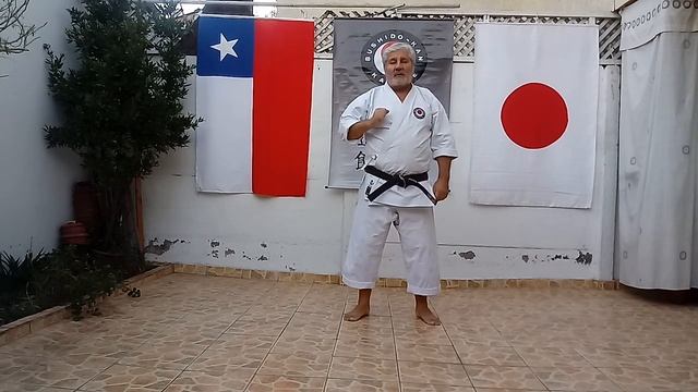 Video N° 7 Karate Shotokan смотреть онлайн
