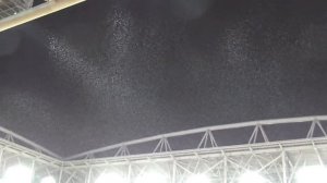 Песня плывет. Поют фаны Спартака