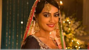 Слайд -шоу День рождение Сурбхи