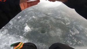 Ловля плотвы. Как найти плотву зимой?