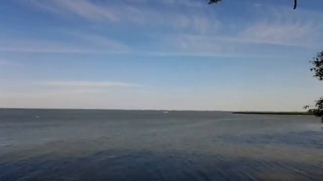 Лето в Калининграде