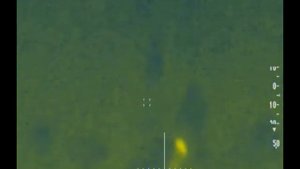 Ночная охота с пневматикой на крыс Rat hunt