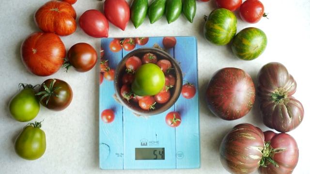 Сорт для любителей зелёных томатов. Томат Контрастный из Фландрии смотреть онлайн