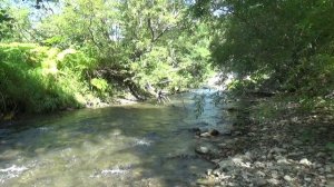 речка Сусуя