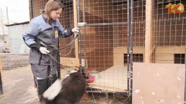 Особенному Джекки нужна ваша помощь! смотреть онлайн