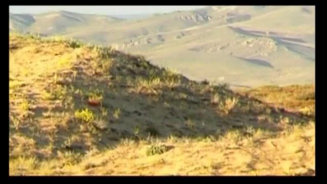 Убсунурская котловина смотреть онлайн