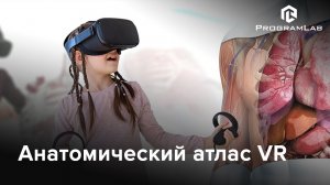 Интерактивный трехмерный атлас анатомии человека VR