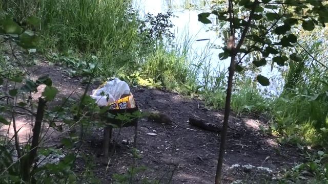 ЖИВОТНЫЕ ЮЖНО ПРИМОРСКОГО ПАРКА