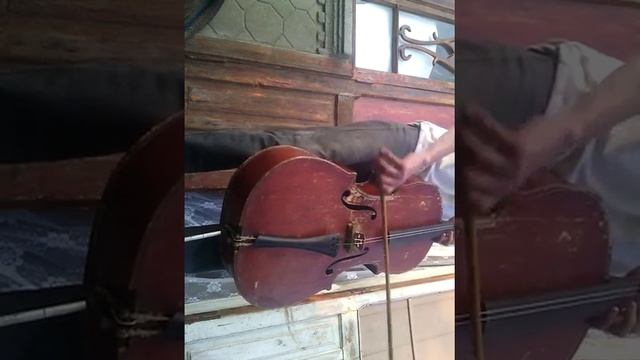 Виолончель На две струны