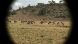 Истощение природных ресурсов (12+)