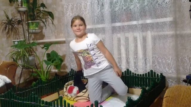 Мой питомец карликовый пудель-Пулька 1 выпуск смотреть онлайн