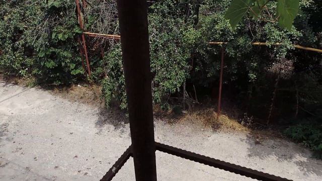 Как на гаражах виращивают виноград в Грузии. смотреть онлайн