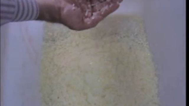 Nilma TCN202 Continous Cycle Dicer - Onion dicing demonstration смотреть онлайн