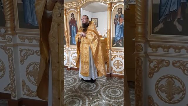 Проповедь об исцелении бесноватых в стране Гергесинской смотреть онлайн