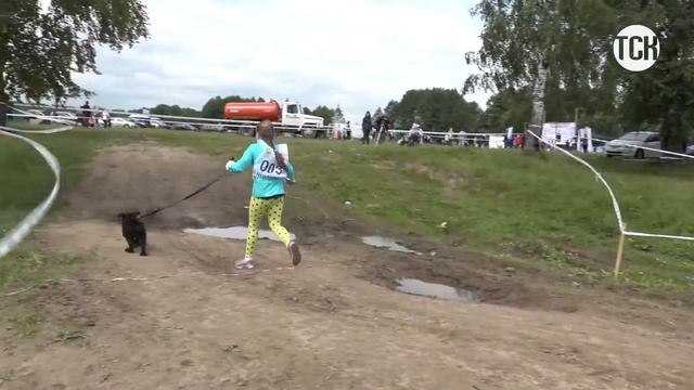 Гонки собак смотреть онлайн