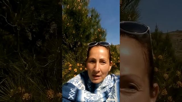 С 1 мая! Обратный отсчет! смотреть онлайн