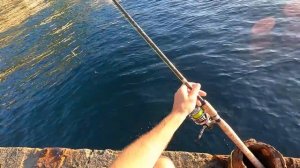 ?Зубарь на Поплавок Ворует Удочку. Морская Рыбалка в Крыму. Как и на что ловить?