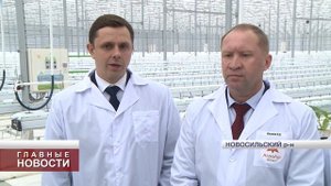 Новый тепличный комплекс начал работу в Новосильском районе