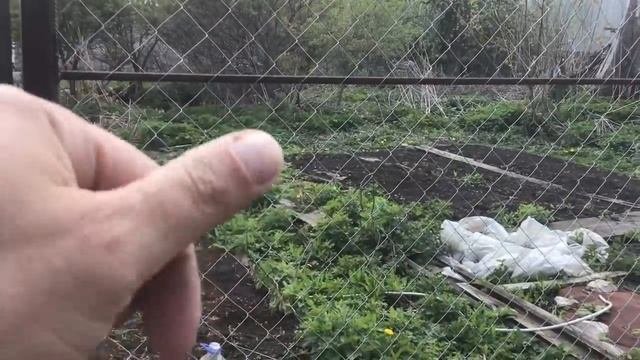 ПОДЕЛИЛ УЧАСТОК ПОПОЛАМ.