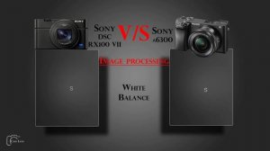 Sony DSC RX100 VII  vs Sony α6300