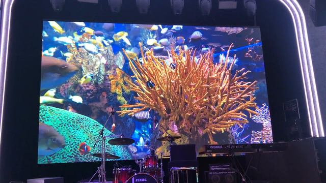 Экран сверхмелкий пиксель PH2 SMD Indoor PRO. смотреть онлайн