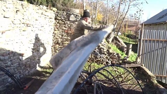 Плодов не будет! Если не укрыть инжир на зиму. смотреть онлайн