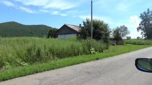 Воспоминания о лете. Север Приморья, Дальнереченский район.