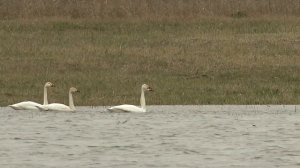 Национальный парк “Нижняя Кама“
