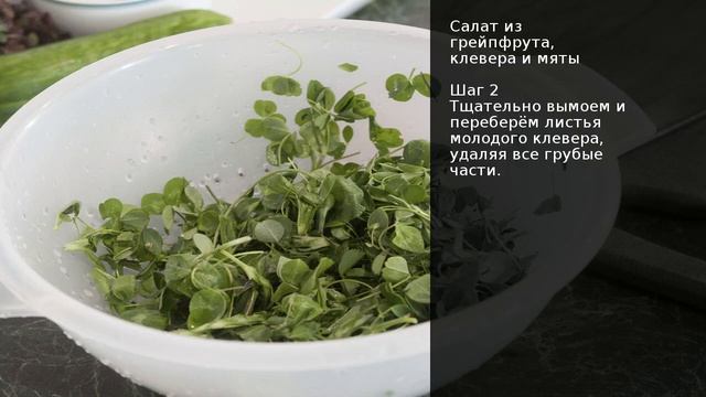 Салат из грейпфрута, клевера и мяты . Рецепт от шеф повара Максима Григорьева