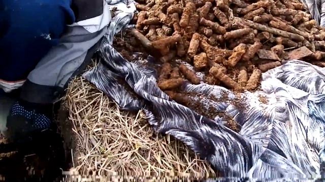 Дешевый металлоискатель с AliExpress /металокоп/жизнь в деревне))) смотреть онлайн