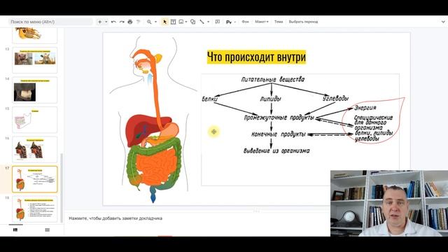 Соки смотреть онлайн