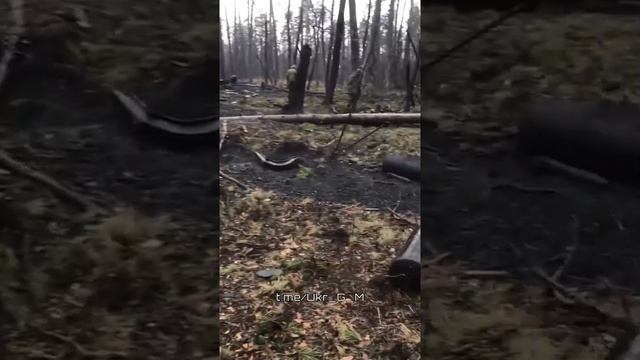 Уничтоженная техника ВСУ в Кременском лесу.