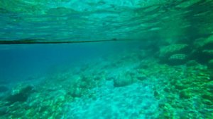 Snorkeling at the LIBERTY HOTELS LYKIA for adults only (Sentido Lykia Resort&SPA). TURKEY, Oludeniz
