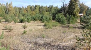 Планировка участка зонирование